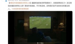 何家四房爆料视频播放,独家爆料视频背后的惊人真相